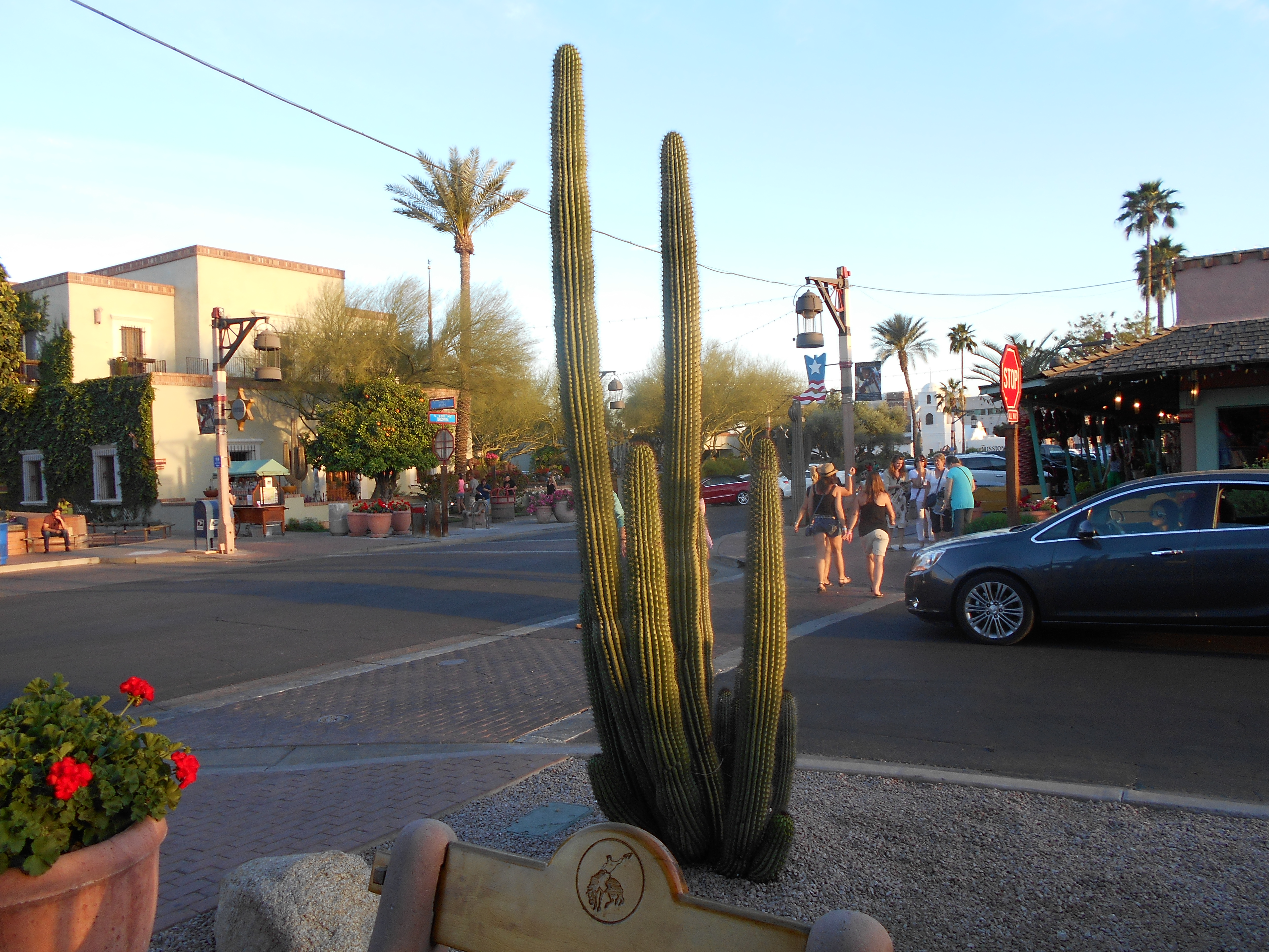 Holiday Cruises And Tours Scottsdale Holiday Cruises And Tours Scottsdale